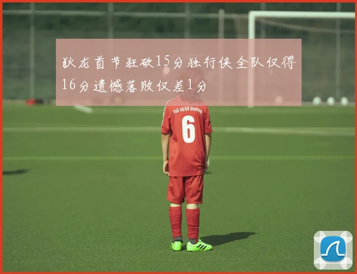 狄龙首节狂砍15分独行侠全队仅得16分遗憾落败仅差1分