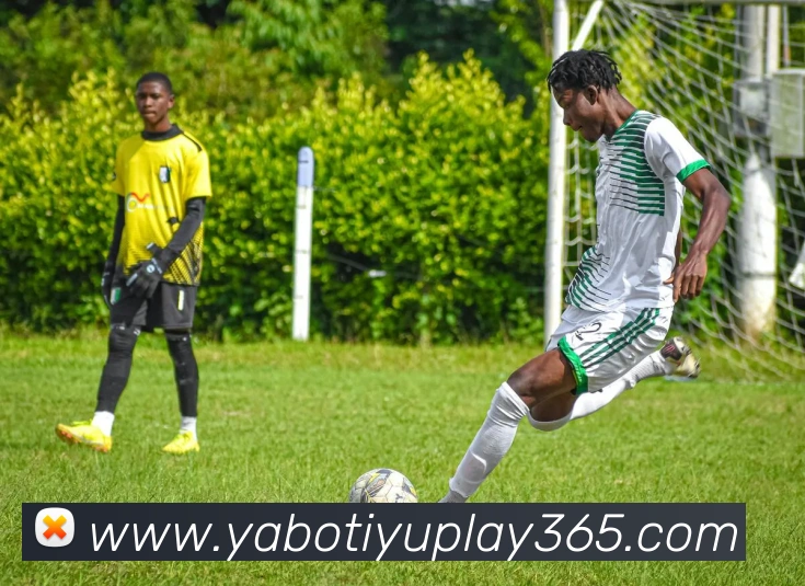 亚博体育服务体系